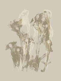 Minimalist botanical art in in neutral colors by Dina Dankers