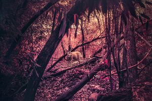 Majestätischer Hirsch im roten Wald - Bezaubernde Naturfotografie Kunstwerk