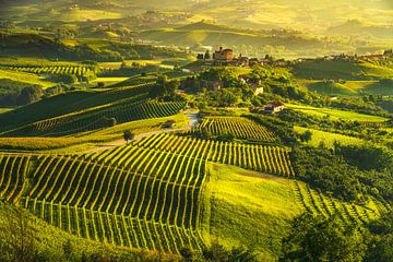 Weinberge der Langhe bei Sonnenuntergang. Grinzane Cavour, Italien