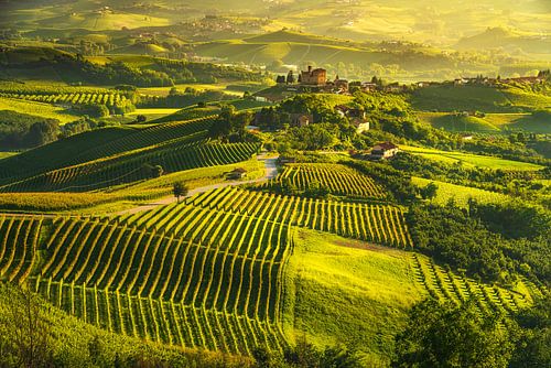 Langhe vineyards at sunset. Grinzane Cavour, Italy