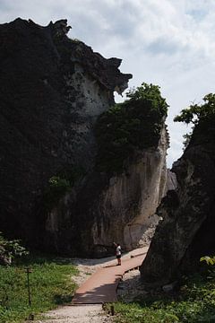 Cliff von Ineke Timmermans