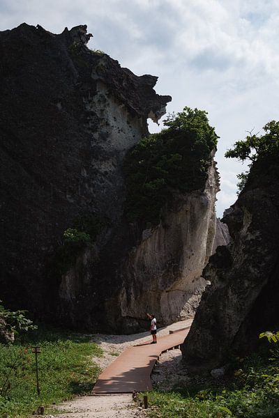 Cliff by Ineke Timmermans