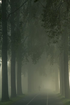Der Radfahrer im Nebel