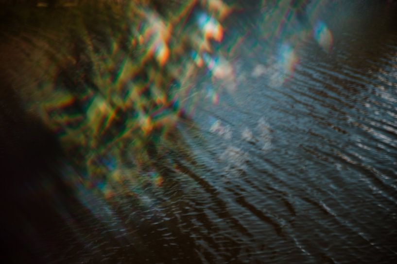 Une mer de fleurs par Willeke Photography