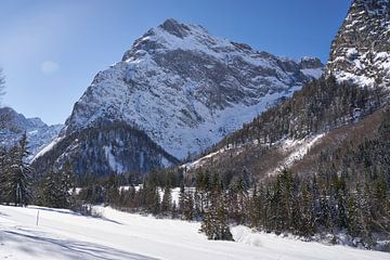 Randonnée dans une vallée latérale près de Pertisau sur Lisanne Storm