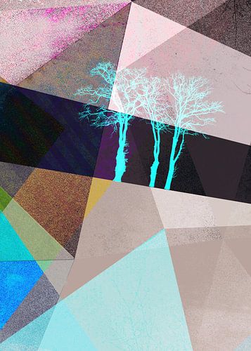 P16-E TREES AND TRIANGLES