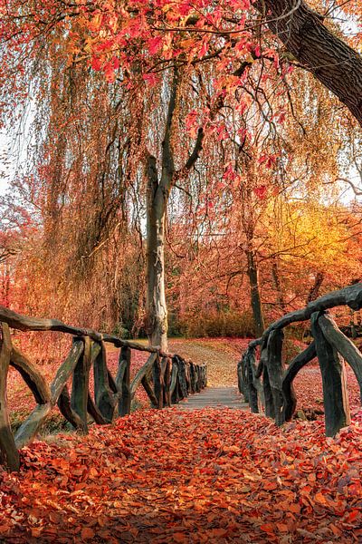 Herfst in Friesland 3. van Marcel Kieffer