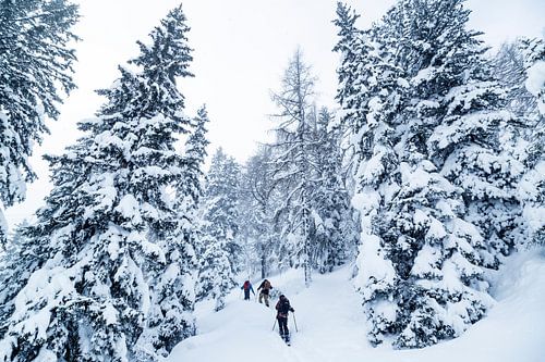 Welcome to Narnia pt 2.