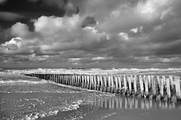 Paalhoofden bij Domburg zwart-wit van Zeeland op Foto