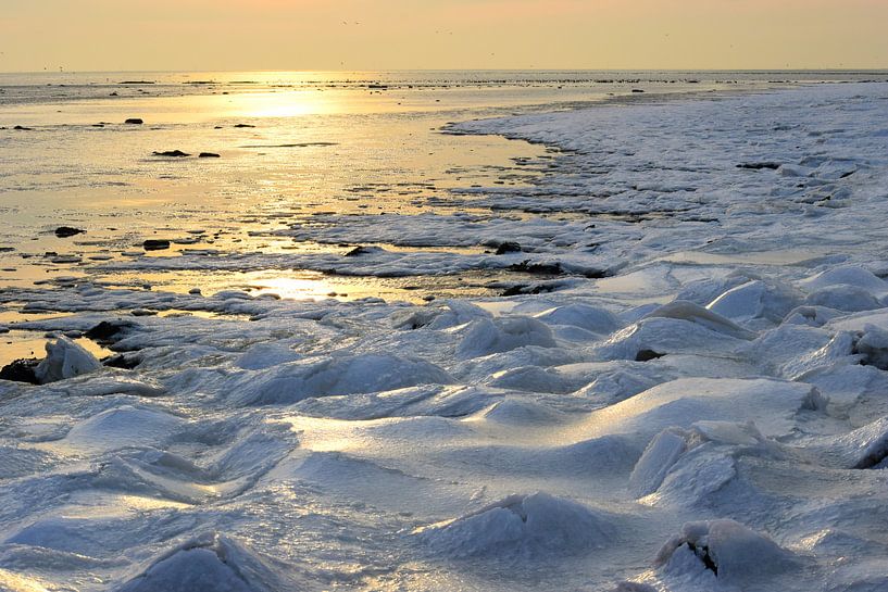 Winter op Terschelling by Sjoukje Hamstra-Bouma