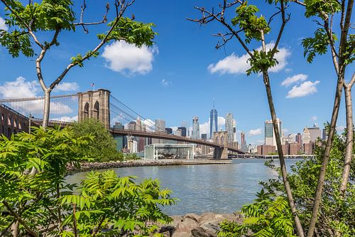 Uitzicht op Manhattan vanuit Brooklyn Bridge Park