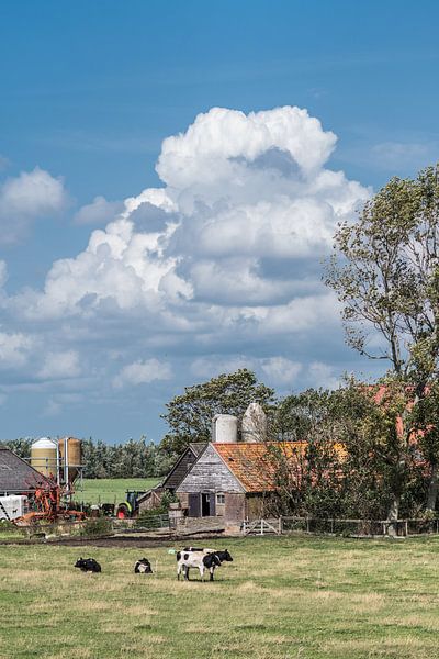 Ferme dans le Gaasterland un jour d'été par Harrie Muis
