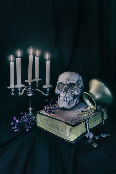 skull still by Angelique Niehorster