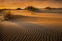 Duinen op Texel