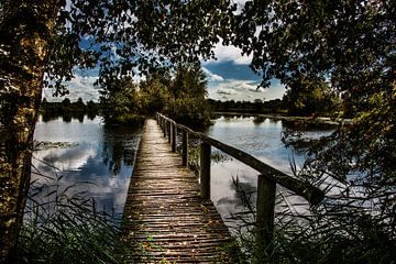 De Deelen brug van Harrie Muis