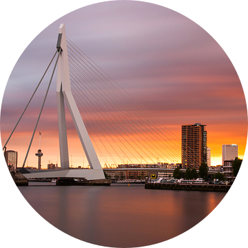 zonsondergang erasmusbrug