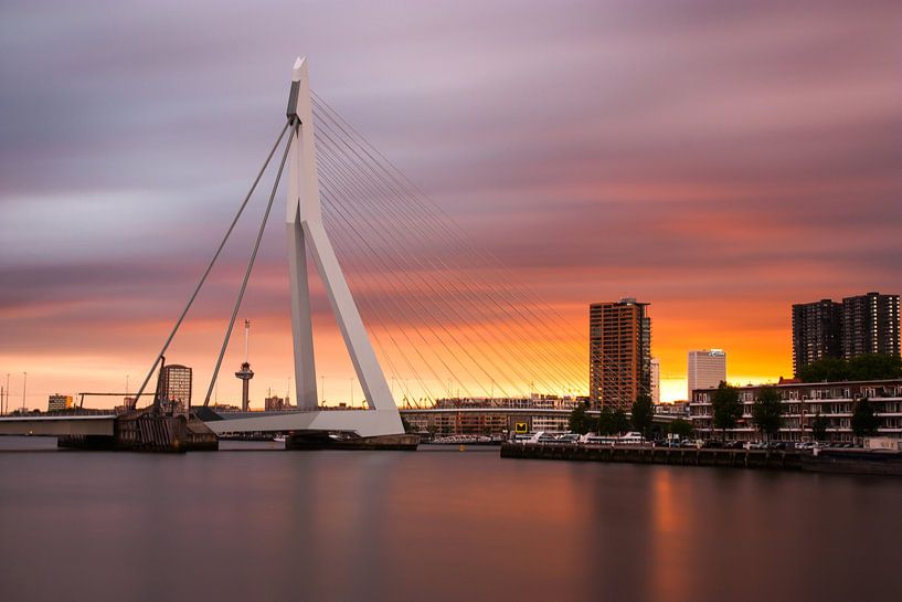Sonnenuntergang Erasmusbrücke von Ilya Korzelius
