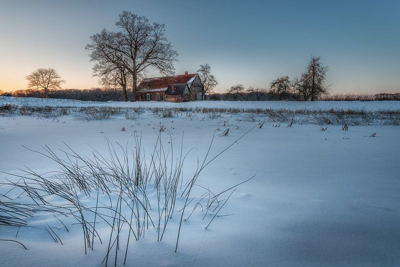 Winterliches Münsterland von Steffen Peters