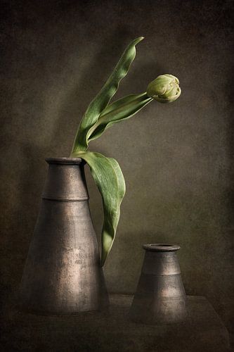 Stilleben mit Tulpe
