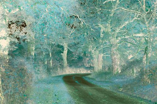 The world upside down