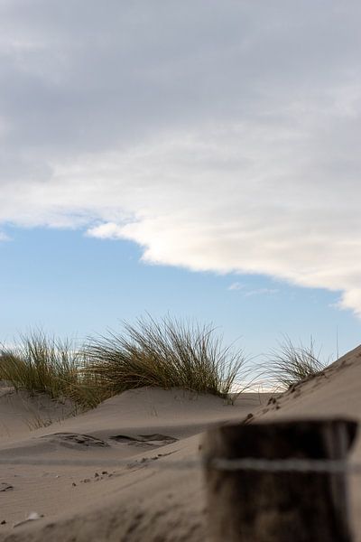 Holzpfahl am Strand von Sebastian Stef