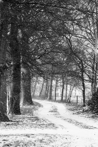 Route dans la neige sur Tessa in Focus
