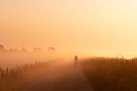 Polder met zonsopkomst
