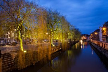 Lys in the heart of Ghent by Marcel Derweduwen