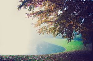 A foggy day in the park von m 0nt2