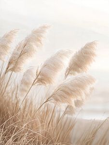 Poésie en bord de mer - Herbe de la pampa