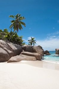 Seychellen: zon, zee, strand van Color Square