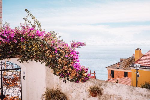 Uitzicht vanaf Imperia