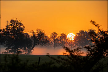 Nebliger niederländischer Sonnenaufgang