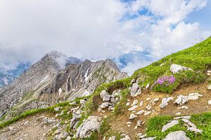 Blick auf das Karwendelgebirge bei Mittenwald