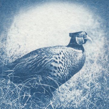 Fazant van Natasja Vugts