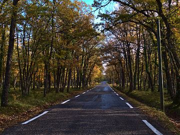 Landweg in de herfst van Timon Schneider