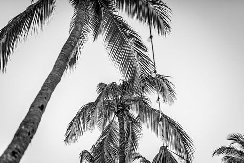 Karibischer Abend in Schwarz und Weiß