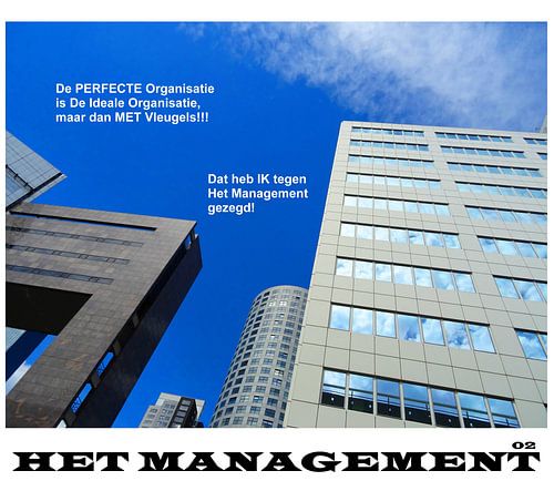 Het Management - De Perfectie Organisatie van MoArt (Maurice Heuts)