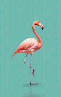 Pink Flamingo