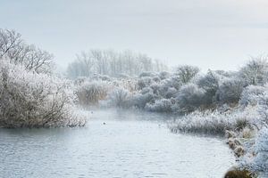 Winter landschap