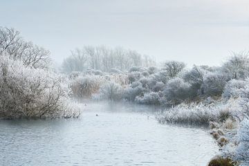 Winter landschap van Menno Schaefer