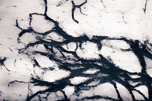 Organic and abstract lines from nature