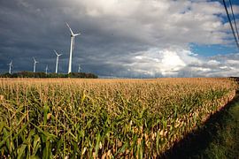 Windmühlen und bedrohlicher Himmel von Whispering Fields Hageland