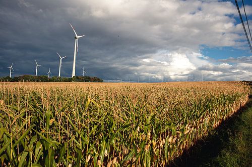 Windmolens en dreigende lucht