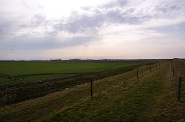 zonnige lente wolken 