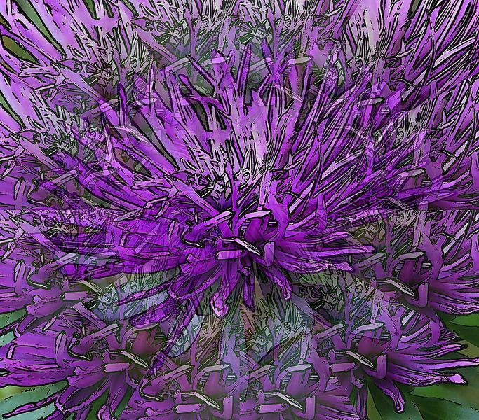 Wahnblume von Jose Lok