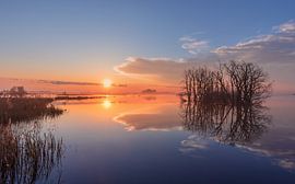 Sunrise at Tusschenwater in Drenthe by Marga Vroom