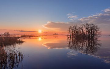 Sonnenaufgang am Tusschenwater in Drenthe von Marga Vroom