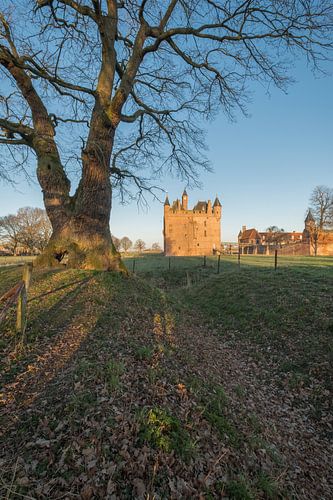 Middeleeuws Kasteel Doornenburg