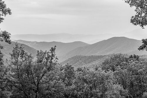 Landschaft der französischen Cevennen im Dunst, Schwarzweißfoto